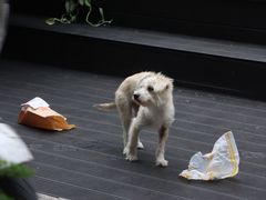 -小巨场咖啡