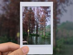 -重庆彩云湖湿地公园