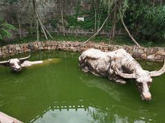 -燊海井