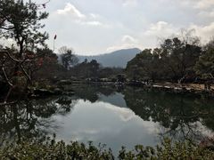 -西湖外事游船(花港观鱼码头)