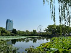 -无锡蠡湖国家湿地公园-蠡园