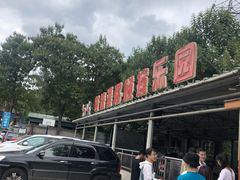 -十渡高山漂流