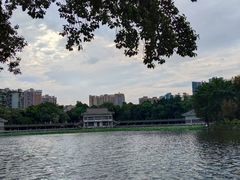 -荔湾湖公园