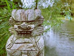 -东平国家森林公园