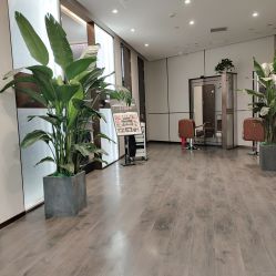 -崇尚GAVIN STYLE臻选