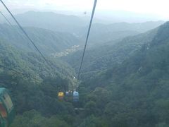 -王顺山国家森林公园