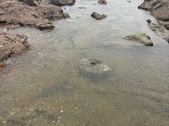 -仙人岛风景区