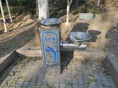 -大兴滨河森林公园