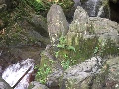 -藏龙百瀑风景区