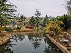 -河南省黄河迎宾馆