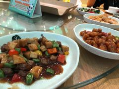 -美食小镇·观赏珍稀鸟类·长隆熊猫酒店