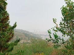 -石老人观光园