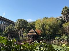 -昆明洲际酒店