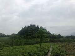 -山王坪喀斯特国家生态公园