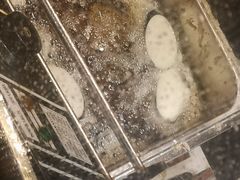 -李好吉吉自选炸鸡(星天广场店)