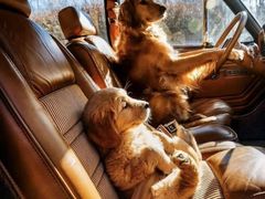 -赵伍面庄(松石大道店)