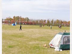 -春花秋色城市公园