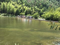 -楠溪江风景名胜区