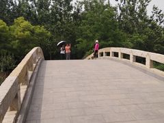 -塘沽森林公园