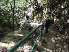 -四明山国家森林公园