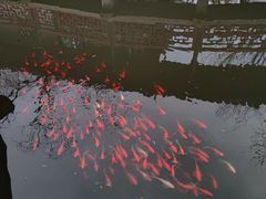 -老阊门菜馆(山塘街店)