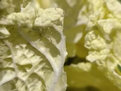 -牛村来人潮汕牛肉火锅(西单店)