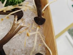 -慢搅粥底火锅(武侯大悦城店)