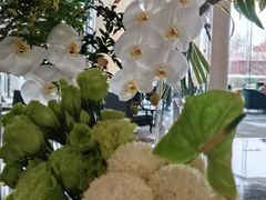 -李沧绿城喜来登酒店大堂吧