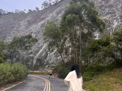 -水濂山森林公园