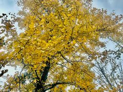 -西郊宾馆·1921餐厅