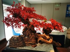 -顺峰(农展馆店)