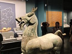 -广西壮族自治区博物馆