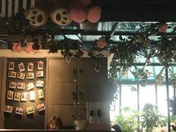 点击看大图 -金棕榈