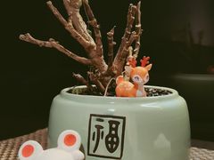 -鮨鳳