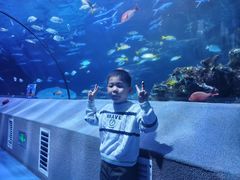 -太平洋海底世界