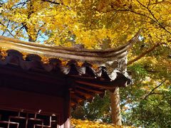-虞山风景区