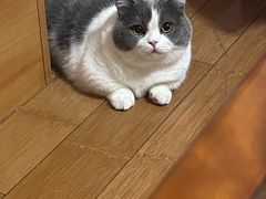 -麦当劳(北京路广百广场店)