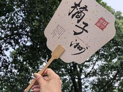 -橘子洲景区