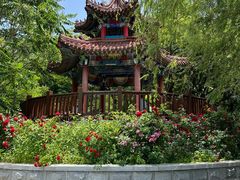 -大连植物园