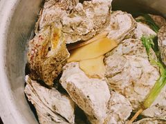 -土蚝·高压锅生蚝(百姓美食街店)