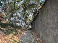 -上海佘山国家森林公园天马山园