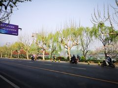 -西湖外事游船(花港观鱼码头)