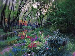 -上海共青森林公园