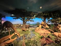 -国家自然博物馆