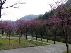 -神龙峡风景区