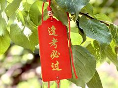 -北京水岸山吧度假村(雁栖镇店)