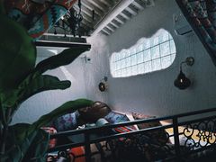 -Sirena海妖日咖夜酒