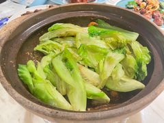 啫啫生菜煲-陶陶居酒家(美院店)