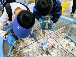 -神奇动物撸宠馆·羊驼·小浣熊·异宠(豫园店)