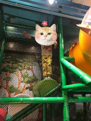 -KidSteam儿童乐园(富力城店)